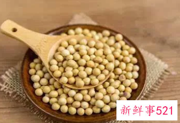 大豆营养特点有什么