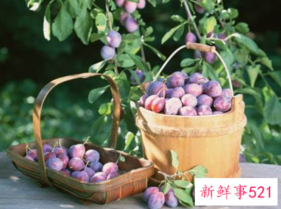 乌梅和荔枝能不能一起吃