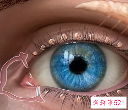 治干眼症有什么好方法