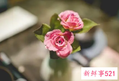 星座漂亮排行女