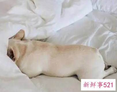 冬天赖床的原因有哪些