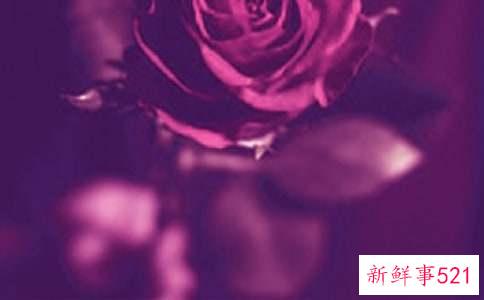 白羊女热恋时做过哪些浪漫的事