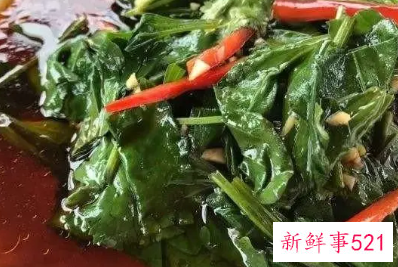 新鲜车前草怎么做好吃