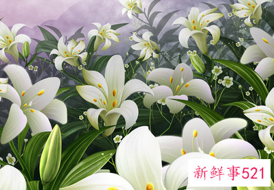 女人必吃的十大补品排名