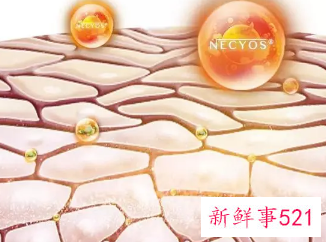 皮肤破坏了怎么修复