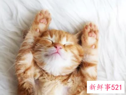 国际标准睡眠时间