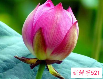 性格孤僻的人的表现