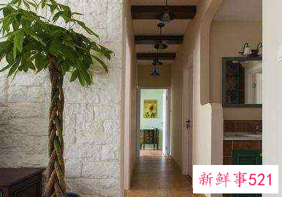 最招财的植物盆栽