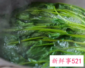 如何焯水菠菜