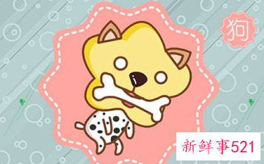 2022年1994属狗运势及运程