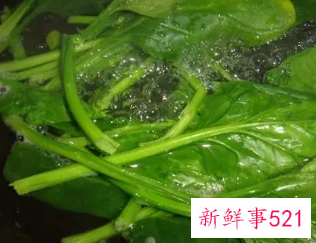 如何焯水菠菜
