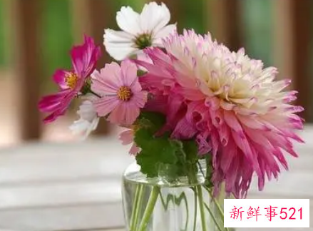 梦见家里有花是什么意思