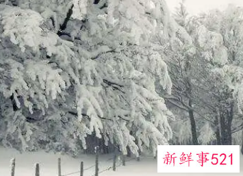 夏天梦见下雪是要戴孝吗