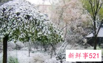 夏天梦见下雪是要戴孝吗