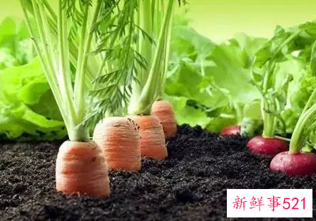 10种能治病的蔬菜