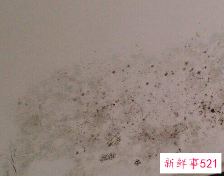 地下室墙体发霉怎样彻底处理