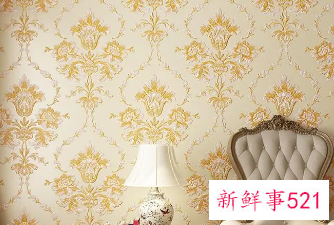 墙布有尘螨如何清除