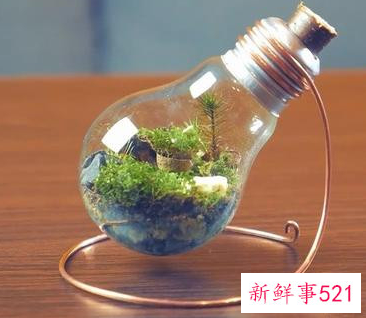 给生活增加趣味的桌面小摆件