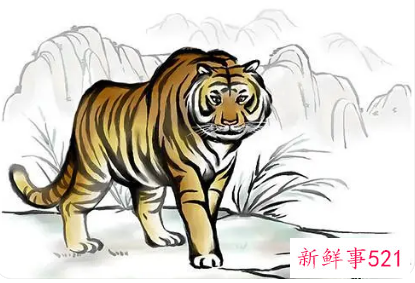 生肖属虎取名宜用字