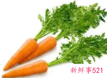 胡萝卜相克的食物有哪些