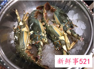 青龙虾做法家常窍门