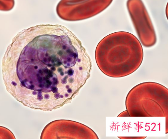 重度地贫的宝宝可以生下来吗