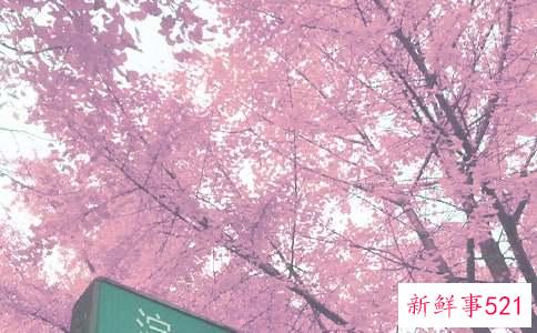 秋季皮肤怎么补水最有效果