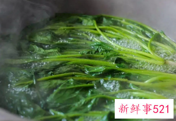 菠菜应该怎么焯水
