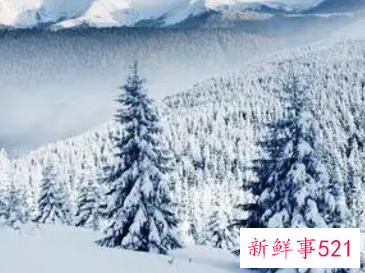 冬天有哪些具有代表性的东西