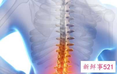 人体背部疼痛对应器官