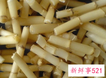 白茅根的功效与作用及禁忌