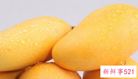 百色芒果什么时候成熟