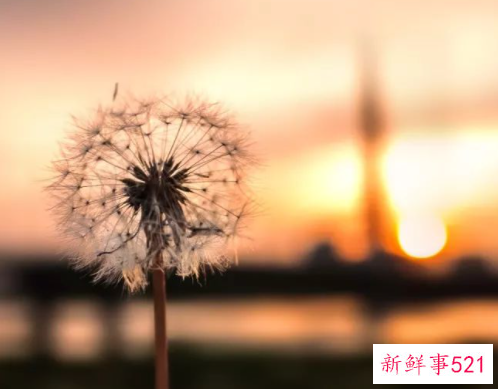 永久用什么去皱最好方法