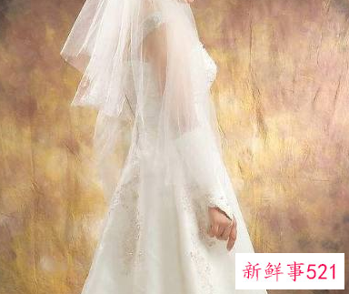 十二星座的礼服裙