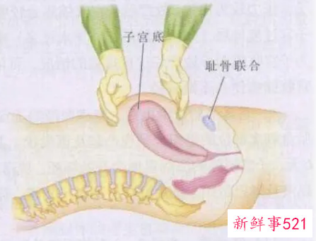 产后子宫按摩要按哪里