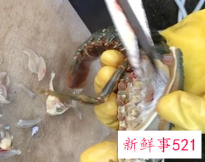 青龙虾做法家常窍门