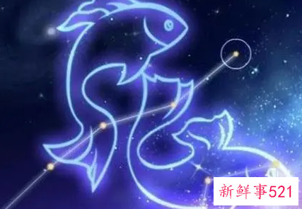 喜欢算计他人的星座