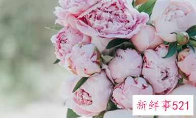 哪个星座女又萌又可爱