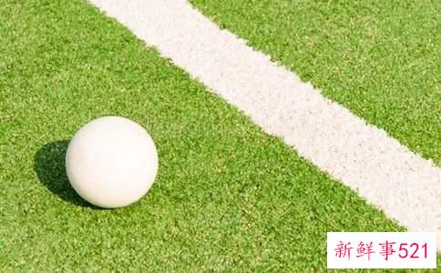 曲棍球第三部分术语铲击球球门球