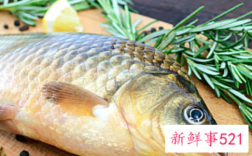 吃什么鱼最补脑子