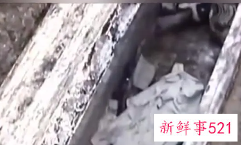 梦见家里藏着死尸