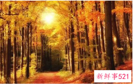 梦见很多陌生人有什么寓意