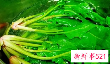菠菜应该怎么焯水