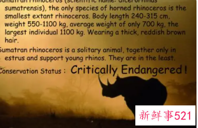 野生动物的保护措施英文