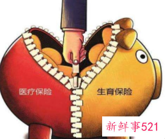 离职发现怀孕了生育险