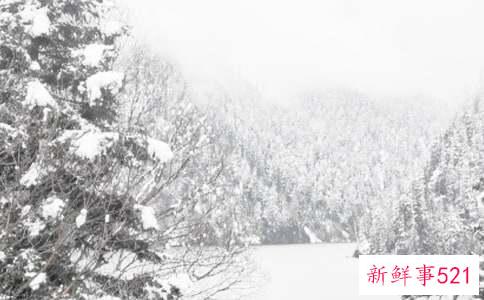 冬季木地板的保养方法有哪些