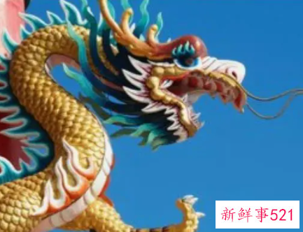 属龙人生日命运