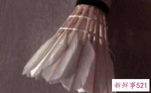 打羽毛球有哪些好处