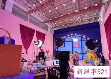 直播营销策划案例