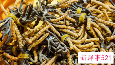 虫草跟什么相克